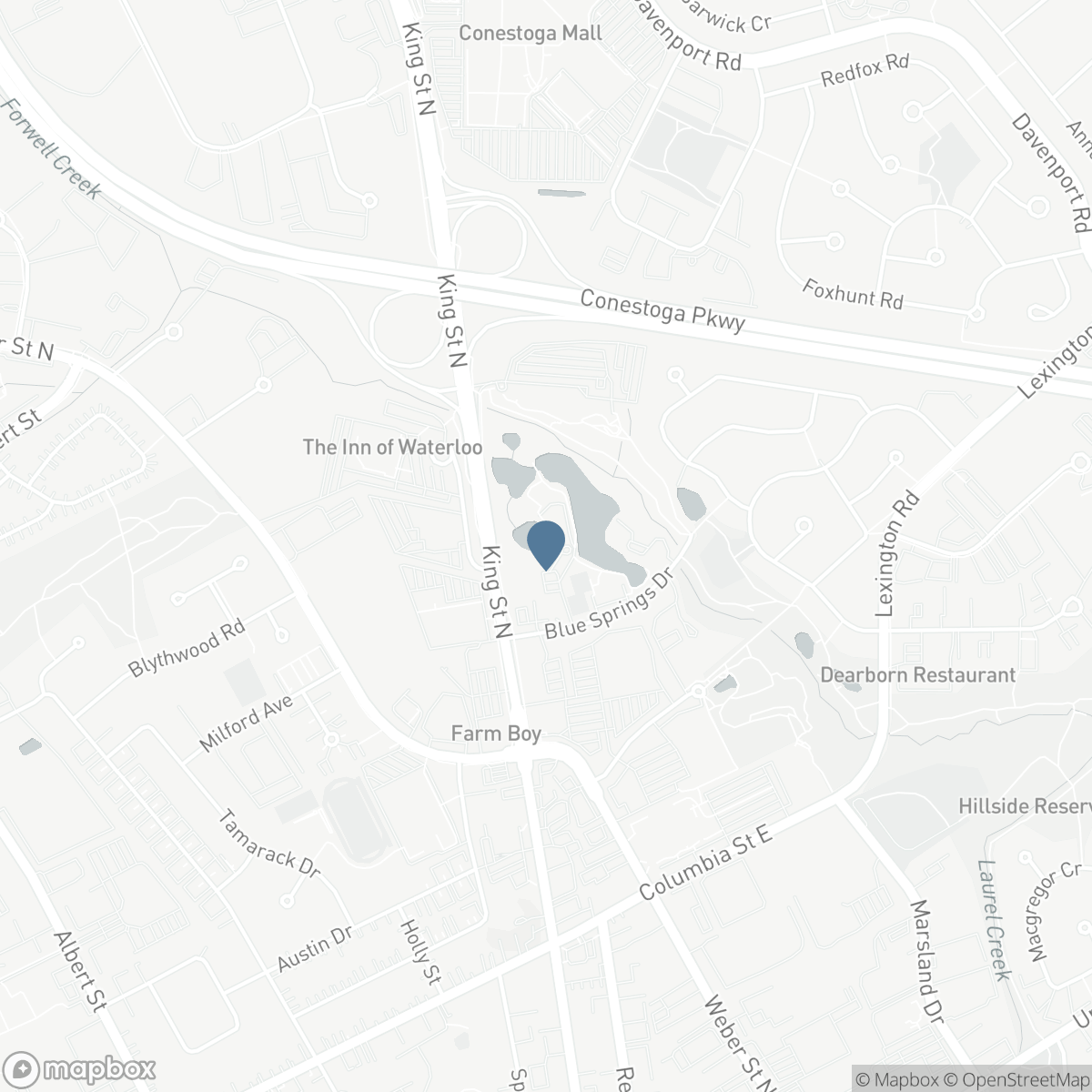 30 BLUE SPRINGS Drive Unit# 215, Waterloo, Ontario N2J 4T2